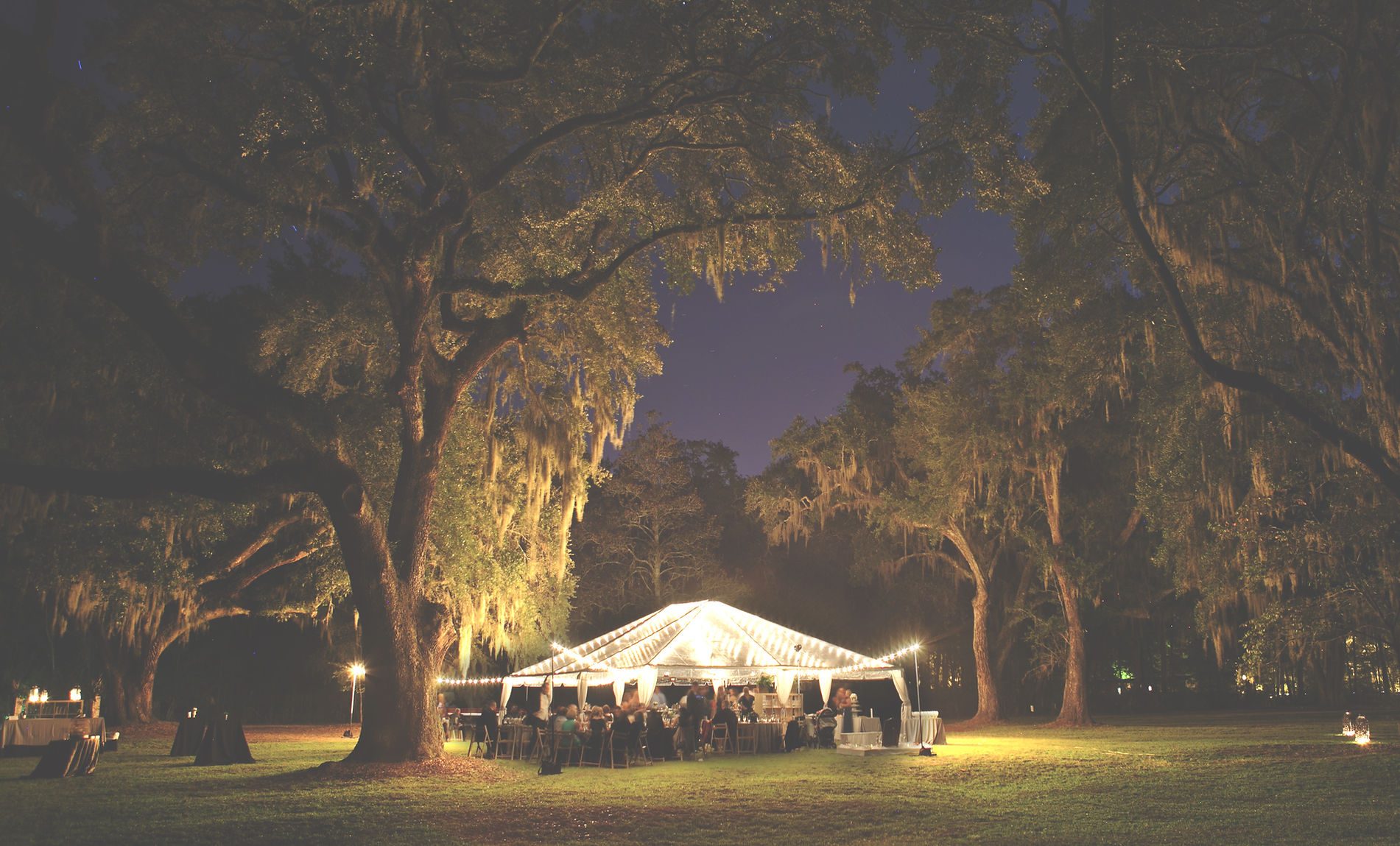 An elegant evening celebration under the trees